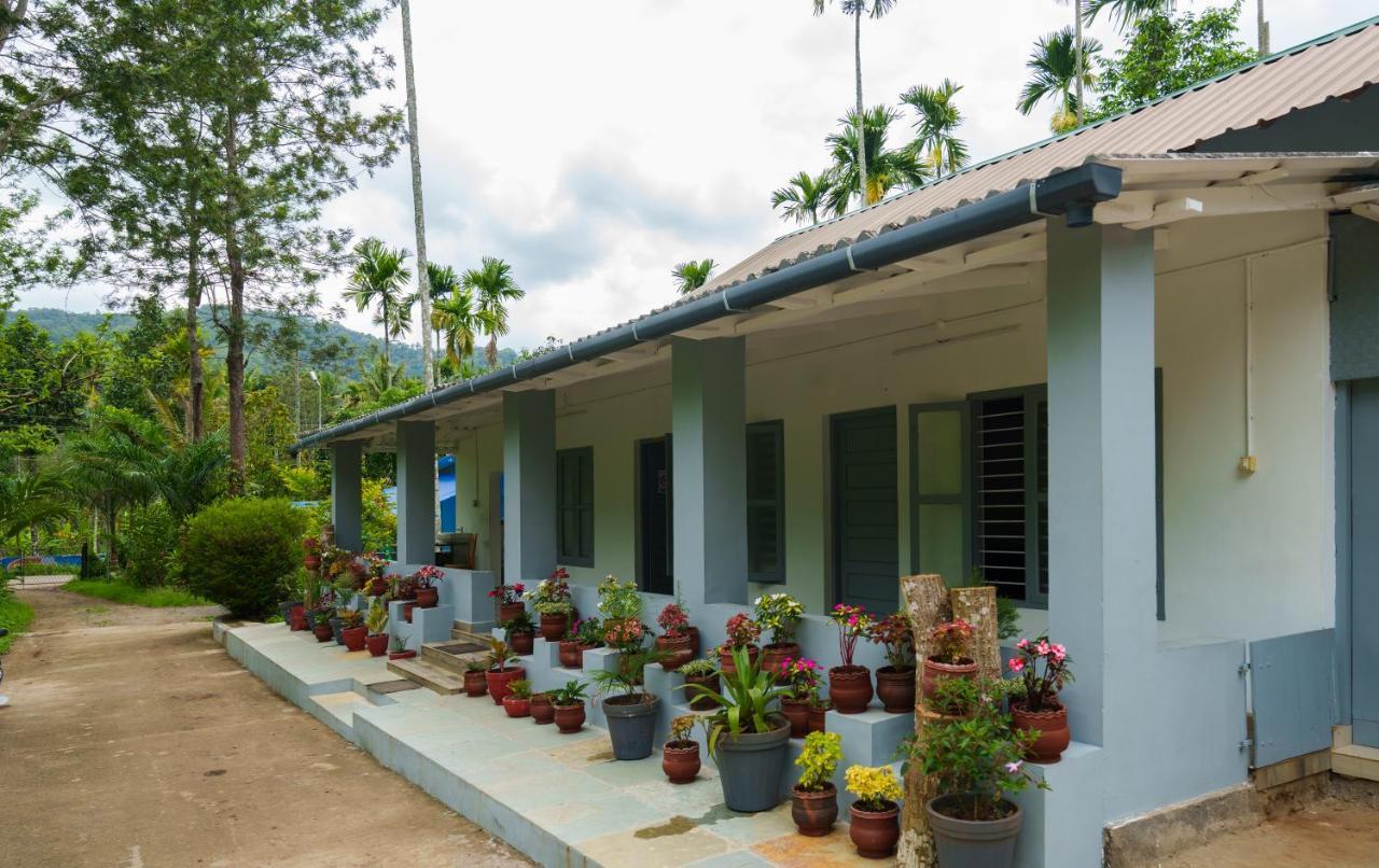 Ferienwohnung Mystic Trees, Kumily Thekkady Exterior foto